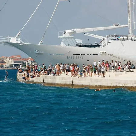 Apartment Cozy In With Wifi